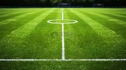 曼联新队长展望南美足球未来